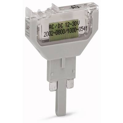 Electrical component with inscription 'AC/DC 12-30V 2002-0800/1000-0541', used for voltage adjustment or signal transmission.