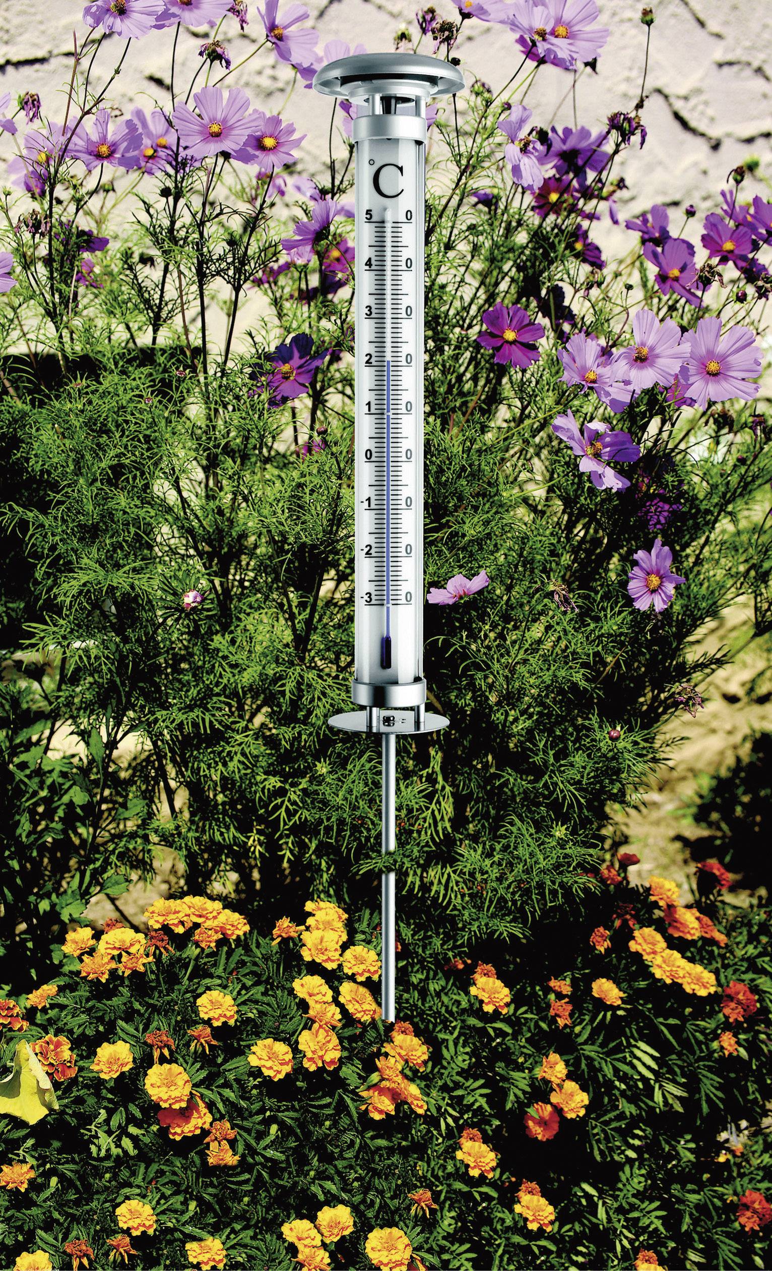An analogue outdoor thermometer shows 25 degrees Celsius and is positioned in a garden with blooming purple and yellow flowers.