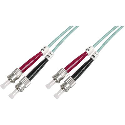 Two optical fibre cables with red and black marked connectors for unambiguous identification.