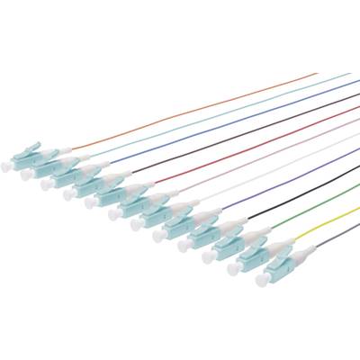 Several colourful fibre optic cables with blue connectors. They are arranged in a straight line, so that all plugs are parallel to one another.