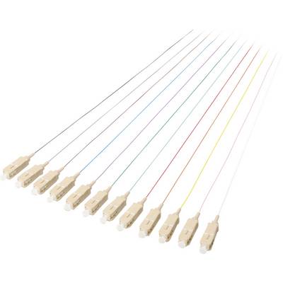 Ten optical fibres in different colours, arranged side by side. Each cable terminates in an SC connector.