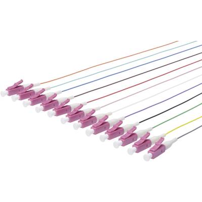 Several colourful fibre-optic cables terminate with pink connectors running diagonally upwards.