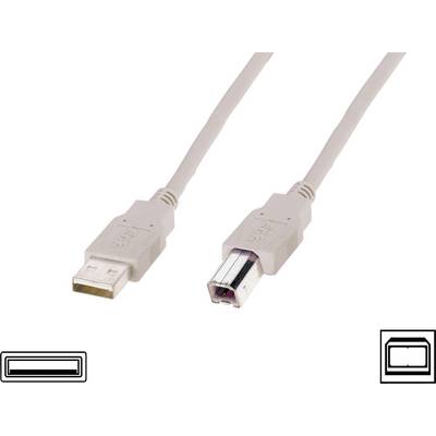 A USB cable with two different plugs: on the left, a typical USB-A plug, on the right, a square USB-B plug.