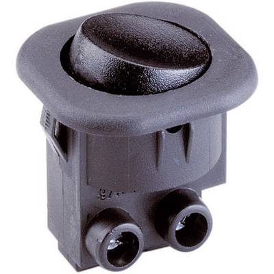 Electrical rocker switch with a black, oval actuator and rectangular mounting plate. Suitable for industrial applications.