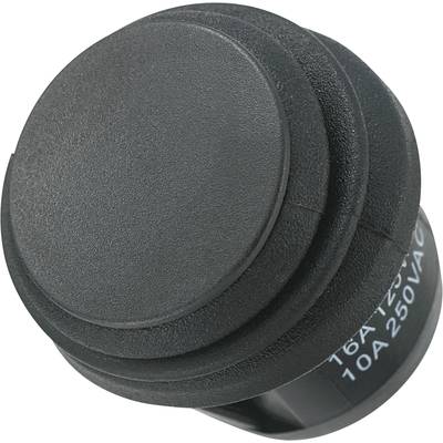 Black, round push-button switch for electrical devices, suitable for 16A at 125VAC or 10A at 250VAC.