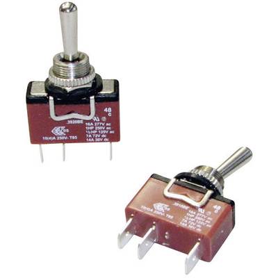 Two red rocker switches with metal levers and multiple connection pins. They are rated for 250V alternating current and 16A.