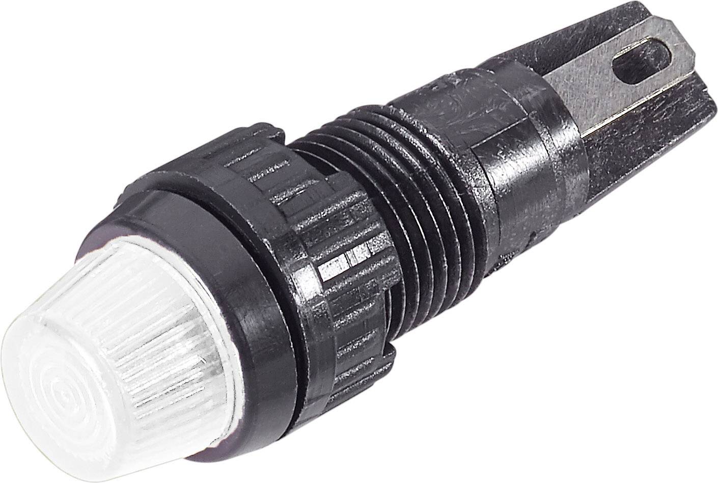 RAFI Standard indicator light with bulb 10 pc(s)-0