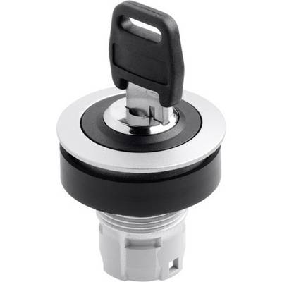 A round metal switch with a black plastic key. The key is inserted in the switch and positioned vertically.