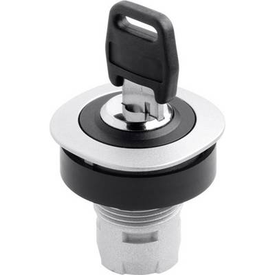 Key switch with inserted key, black handle and silver rim, suitable for switching devices.