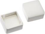 Mentor 2271.1005 Illuminated area White 1 pc(s)