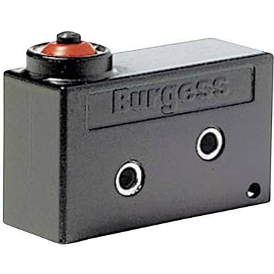Burgess V9NLR1H Microswitch V9NLR1H 250 V AC 10 A 1 x On/(On) IP67 momentary 1 pc(s) 