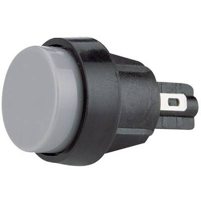 Marquardt 5000.0104 5000.0104 Pushbutton 250 V AC 4 A 1 x Off/(On) momentary  (Ø) 20 mm IP40 1 pc(s) 