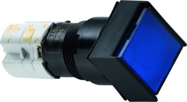 RAFI 1.15.108.276/0000 1.15.108.276/0000 Pushbutton 250 V 4 A 1 x Off/(On) momentary IP65 10 pc(s)