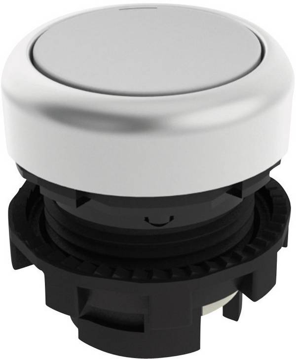 Pizzato Elettrica E21PU2R2290 E21PU2R2290 Pushbutton White 1 pc(s)