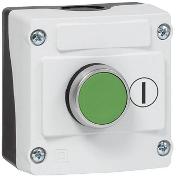 BACO 224210 LBX10110 Pushbutton + enclosure Green Push 1 pc(s)