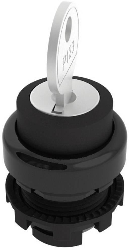 A lock cylinder with a silver key bearing the engraving 'P123' is inserted vertically into it.