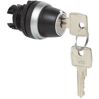Black ignition lock with a silver rim and two silver keys in the lock. The key ring holds both keys together.