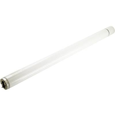 Image of Mo-el 512 UVA 512 UV fluorescent tube Suitable for Mo-el CriCri 305E, CriCri 307A, CriCri 307E 1 pc(s)