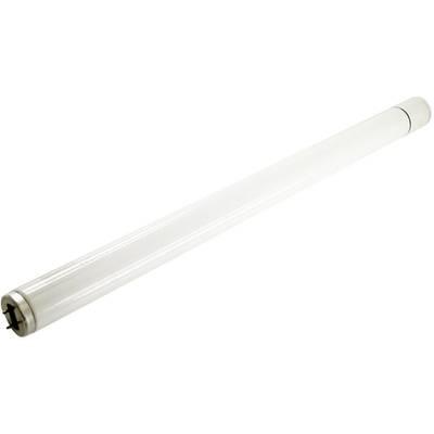 Image of Mo-el 802 UVA 802 UV fluorescent tube Suitable for Mo-el CriCri 308A, CriCri 308E 1 pc(s)