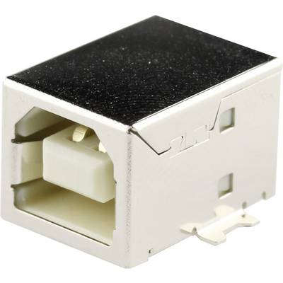 A silver USB socket, rectangular, with an opening for connecting a USB plug.