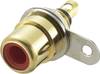 TRU COMPONENTS 716947 RCA connector Socket, vertical vertical Number of pins: 2 Red 1 pc(s)