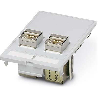 Dual network connection on a rectangular plate, suitable for Ethernet connections, clearly visible with RJ-45 sockets.