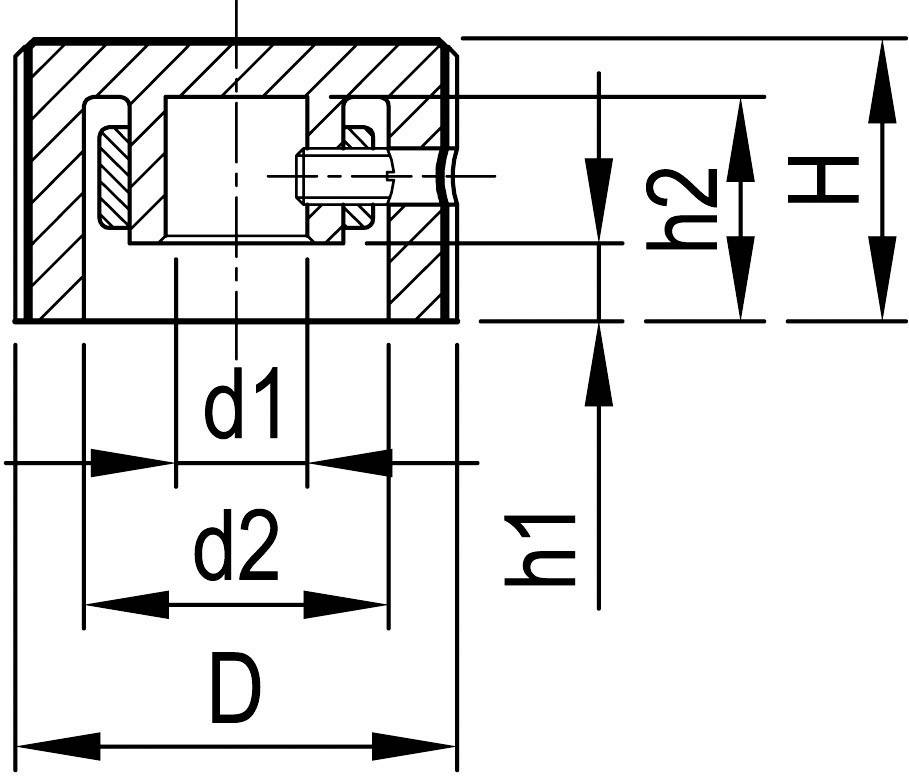Technical drawing of a bearing with various dimensions: diameters (d1, d2, D) and heights (h1, h2, H) are marked.