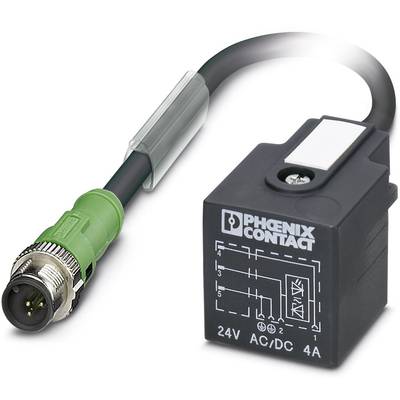 A solenoid valve connector connected to a cable. Inscription shows 'PHOENIX CONTACT' and electrical specifications: 24V AC/DC, 4A.