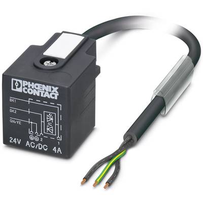 Black relay with three exposed cables; label reads 'PHOENIX CONTACT'. Label shows circuit diagram. Suitable for 24V AC/DC, 4A.
