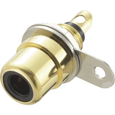 Golden banana plug with black insulator and metal mounting bracket, suitable for terminating audio cables.