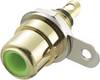 TRU COMPONENTS 719220 RCA connector Socket, vertical vertical Number of pins: 2 Green 1 pc(s)