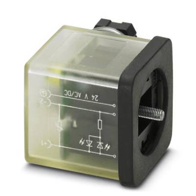 Relay with label '24V AC/DC' and circuit diagram on the transparent cover. Screw mounting visible.