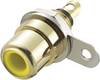 TRU COMPONENTS 719246 RCA connector Socket, vertical vertical Number of pins: 2 Yellow 1 pc(s)