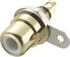 TRU COMPONENTS 719258 RCA connector Socket, vertical vertical Number of pins: 2 White 1 pc(s)