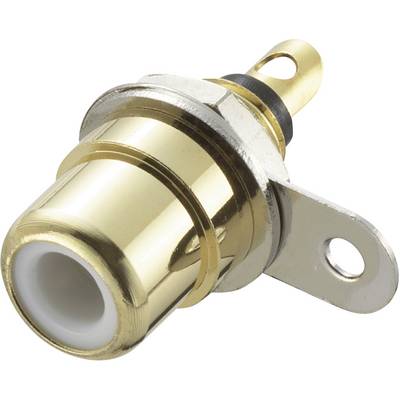 Metallic RCA socket, typically used for audio/video connections. Gold-coloured, cylindrical, with side-mounting plate.