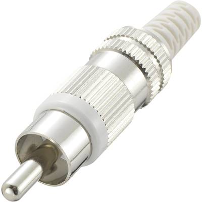 TRU COMPONENTS 719332 RCA connector Plug, straight Number of pins (num): 2  White 1 pc(s) 