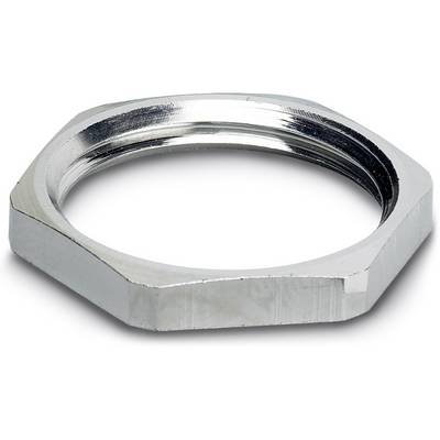 Hexagonal metal nut, silver-coloured, flat. Used for securing components in technical or mechanical contexts.