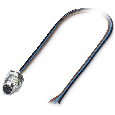 Cable with an M12 connector, three coloured wires (brown, blue, black) protruding from the other side, used for electrical connection.