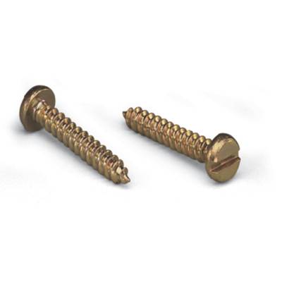 Two gold-coloured metal screws, one with a pointed head, the other with a slotted head, are lying on a white surface.