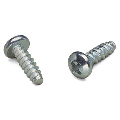 Two metal cross-head screws on a white background. The left screw is slightly tilted to the left, the right one pointing straight ahead.