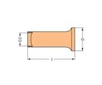 Ferrule