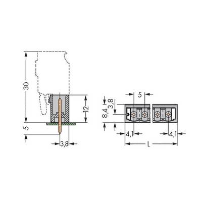 Technical Drawing: Two views of an electrical plug with dimensions in millimetres. Side view and front view with measurements.