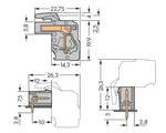 Angled female connector