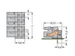 Female connector