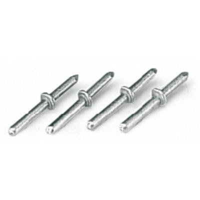 Four silver rivets with flat heads and smooth shanks, evenly arranged side by side.