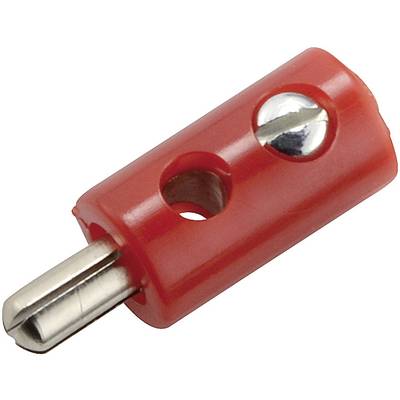 Kahlert Licht  Mini jack plug Plug, straight Pin diameter: 2.6 mm Red 1 pc(s) 