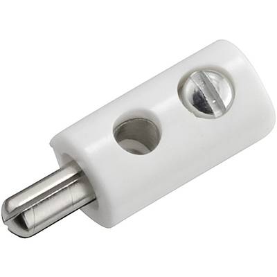 Kahlert Licht  Mini jack plug Plug, straight Pin diameter: 2.6 mm White 1 pc(s) 