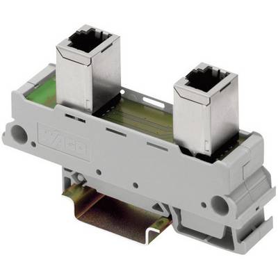 Dual RJ45 module holder in grey plastic with connection ports for network or telecommunications applications.