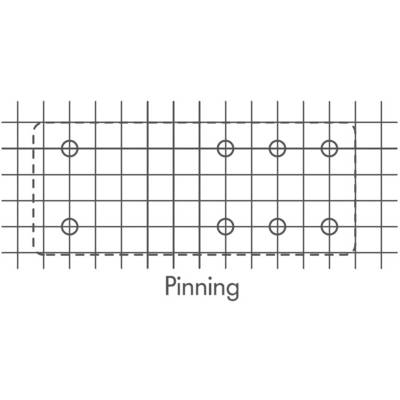 Diagram shows a grid with multiple points in a rectangular area. Labelled 'Pinning'.