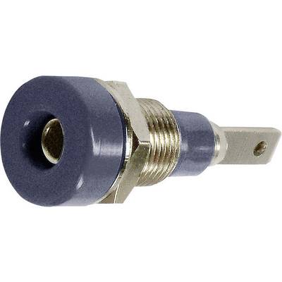 Stäubli LB-I2R Jack socket Socket, vertical vertical Pin diameter: 2 mm Black 1 pc(s) Piece-0